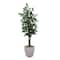 6ft. Artificial Double Stalk Ficus Tree in White Metal Planter